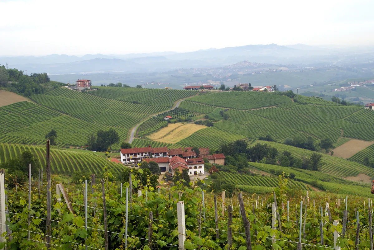 Vineyards around Barolo